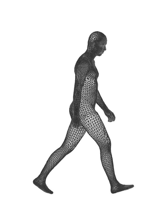 A still from the wireframe walking study